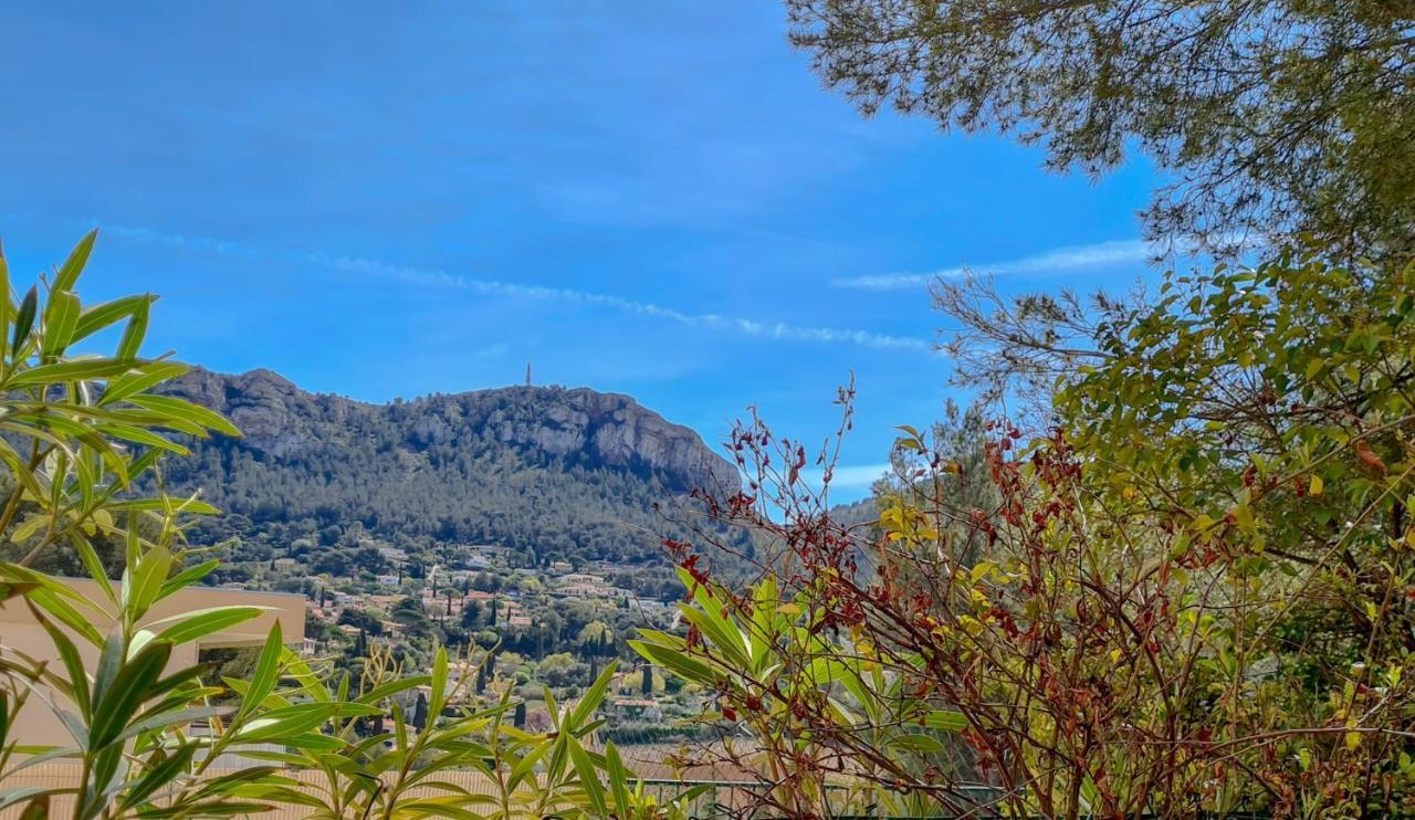 Jardin Prive Ds Le Centre De Cassis - Parking - Plage A 500M Exteriör bild